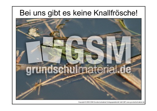 Knallfrosch-1.pdf